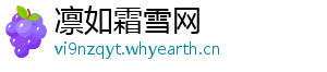 凛如霜雪网